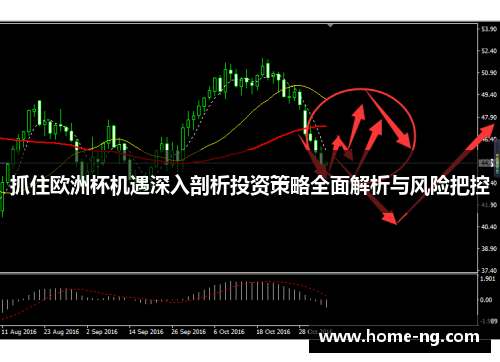 抓住欧洲杯机遇深入剖析投资策略全面解析与风险把控
