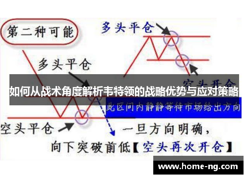 如何从战术角度解析韦特领的战略优势与应对策略