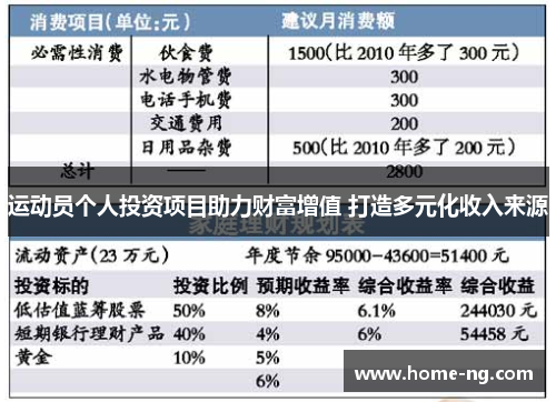 运动员个人投资项目助力财富增值 打造多元化收入来源