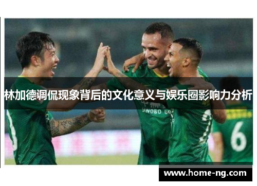 林加德调侃现象背后的文化意义与娱乐圈影响力分析